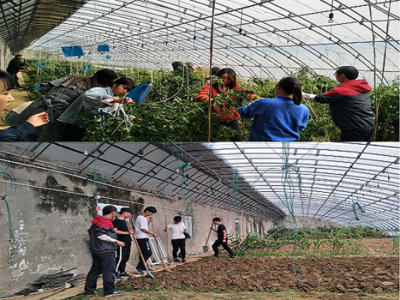 园艺与设施农业科学与工程学生党支部开展志愿服务活动