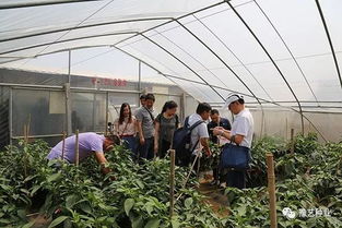 河南农业大学园艺学院蔬菜系的专家博士来园区参观调研