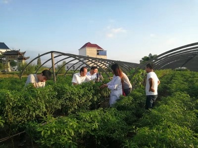 江西省园艺学会专家服务团深入乐平市蔬菜基地 开展调研指导和科技帮扶活动
