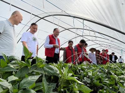 省园艺学会组织开展秋季设施蔬菜产业现场指导科技志愿服务活动